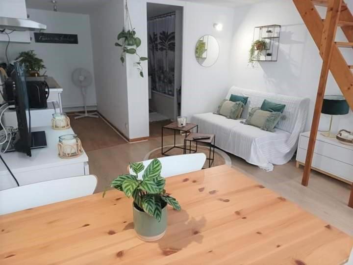 Duplex A La Gare Du Mans Bed & Breakfast Le Mans Exterior photo